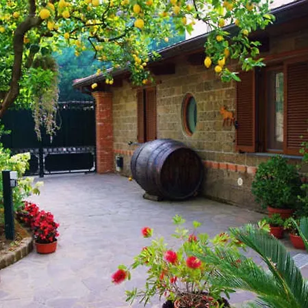 3 Apartment Sorrento