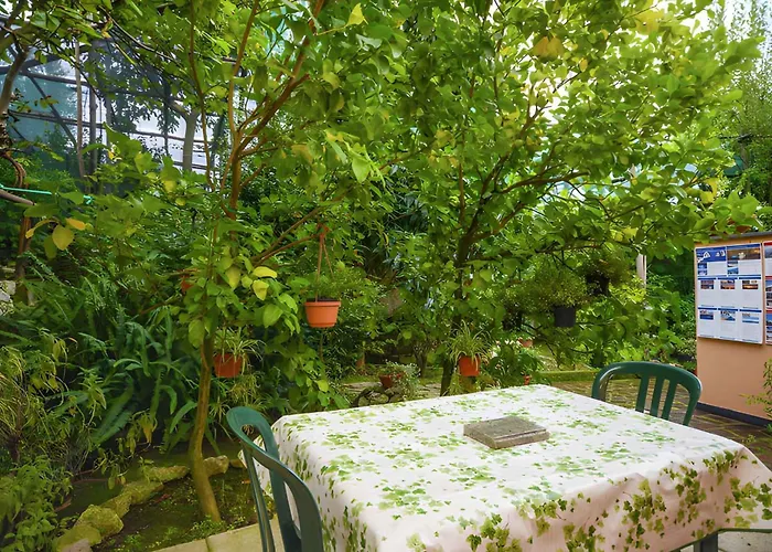 3 * Sorrento
