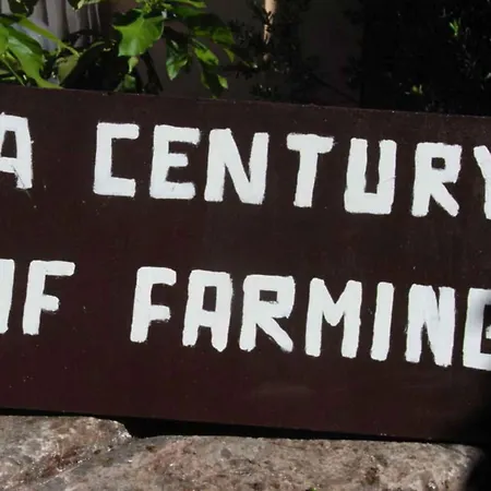 דירה 3 סורנטו